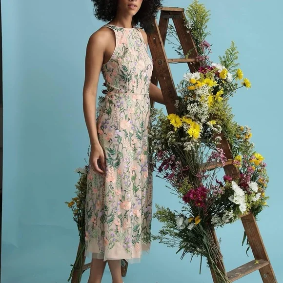 Maggy London Women's Floral Embroidered Halter Midi Dress with Back V-Neck - Picture 7 of 12